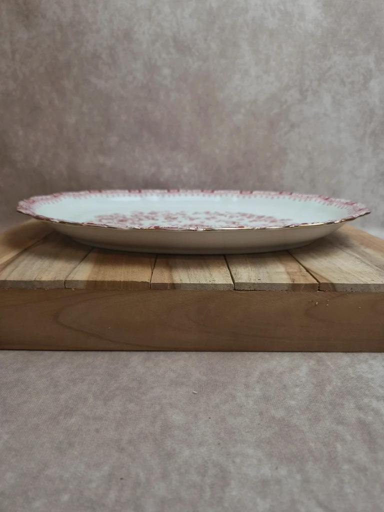 Grand plat ovale Seltmann Weiden Bavaria Theresia rouge – Porcelaine allemande vintage