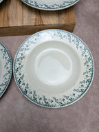 Lot de 4 assiettes creuses Terre de Fer Montigny Gien