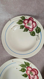 Lot de 9 assiettes creuses Sarreguemines modèle Liliane