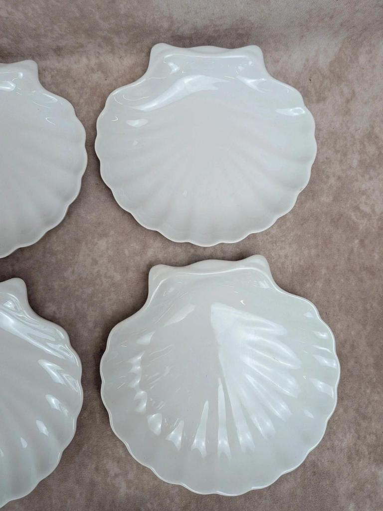 Lot de 8 assiettes coquille Saint-jacques