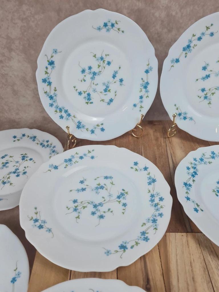 Lot de 10 assiettes vintage Arcopal – Modèle Myosotis