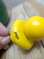 Bouilloire sifflante vintage pomme 🍏 Tôle émaillée verte et jaune