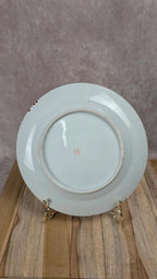 Lot de 9 assiettes + 1 grande assiette style japonais ancien