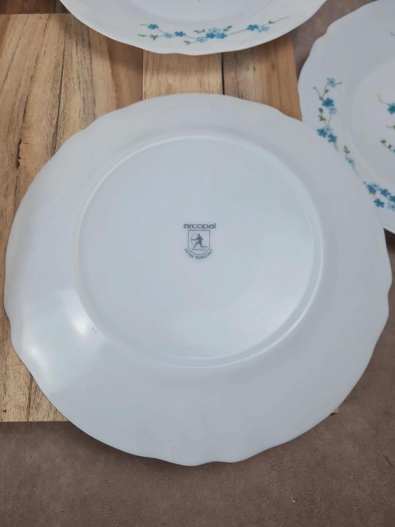 Lot de 10 assiettes vintage Arcopal – Modèle Myosotis