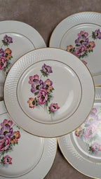 Lot de 6 assiettes plates Trieste – Moulin des Loups