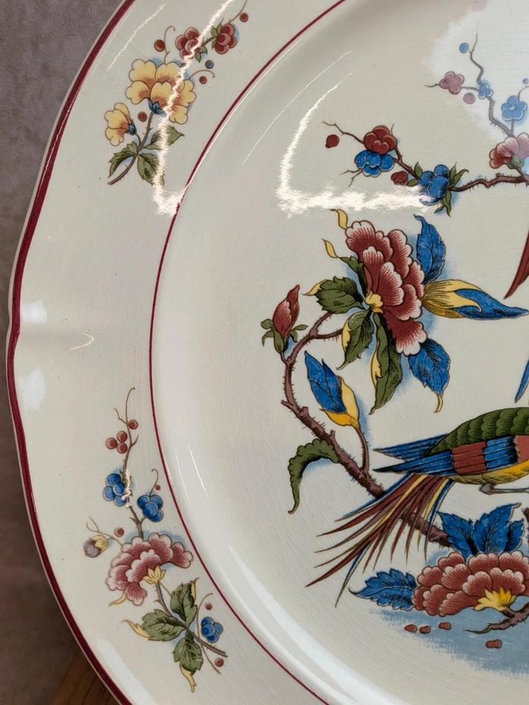 Grand plat rond Villeroy & Boch Phoenix – Terre de fer – 33,5 cm – Oiseaux exotiques