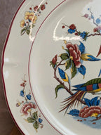 Grand plat rond Villeroy & Boch Phoenix – Terre de fer – 33,5 cm – Oiseaux exotiques