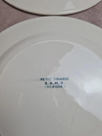 Lot de 12 assiettes plates anciennes Salins “petit Trianon” terre de fer bleu 💙