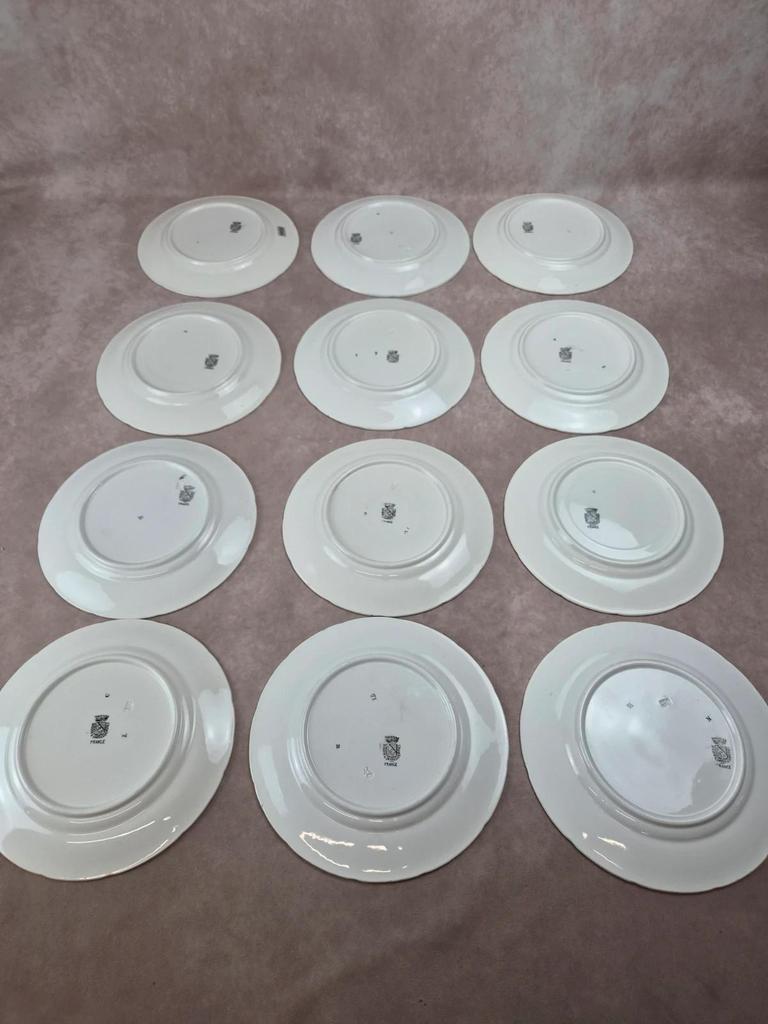 Série complète 12 assiettes parlantes Digoin Sarreguemines, terre de fer, Les Fleurs vintage