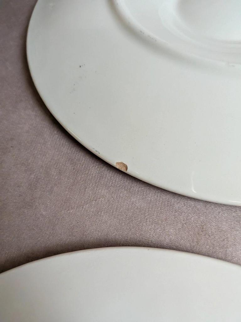 Service 12 assiettes + plat à huîtres Longchamp barbotine coquille