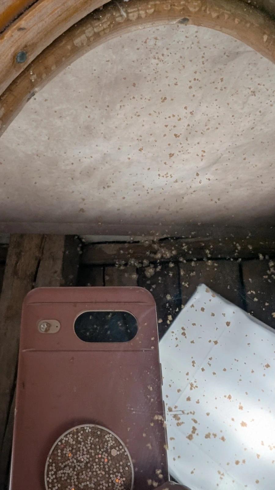 Grand miroir vintage en rotin ovale – Années 50/60 – Rotin bohème