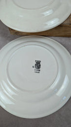 Lot 6 assiettes terre de fer Digoin Sarreguemines