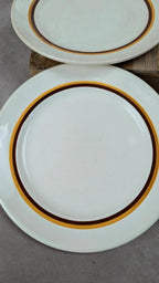 Lot 6 assiettes terre de fer Digoin Sarreguemines