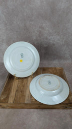 Lot de 2 assiettes anciennes terre de fer – A. Lebacqz & M. Bouchart – Modèle Floral
