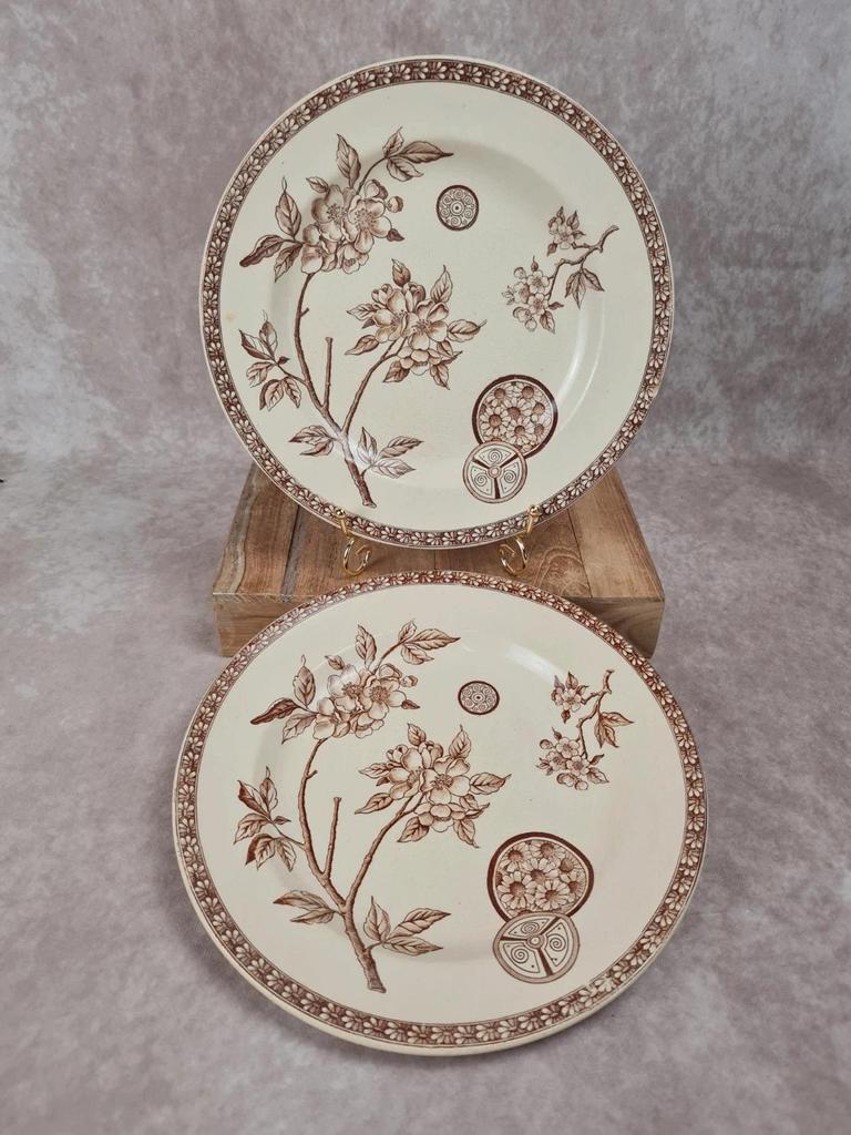 Lot de 2 assiettes anciennes Terre de Fer, modèle marguerite, Grand Dépôt Paris
