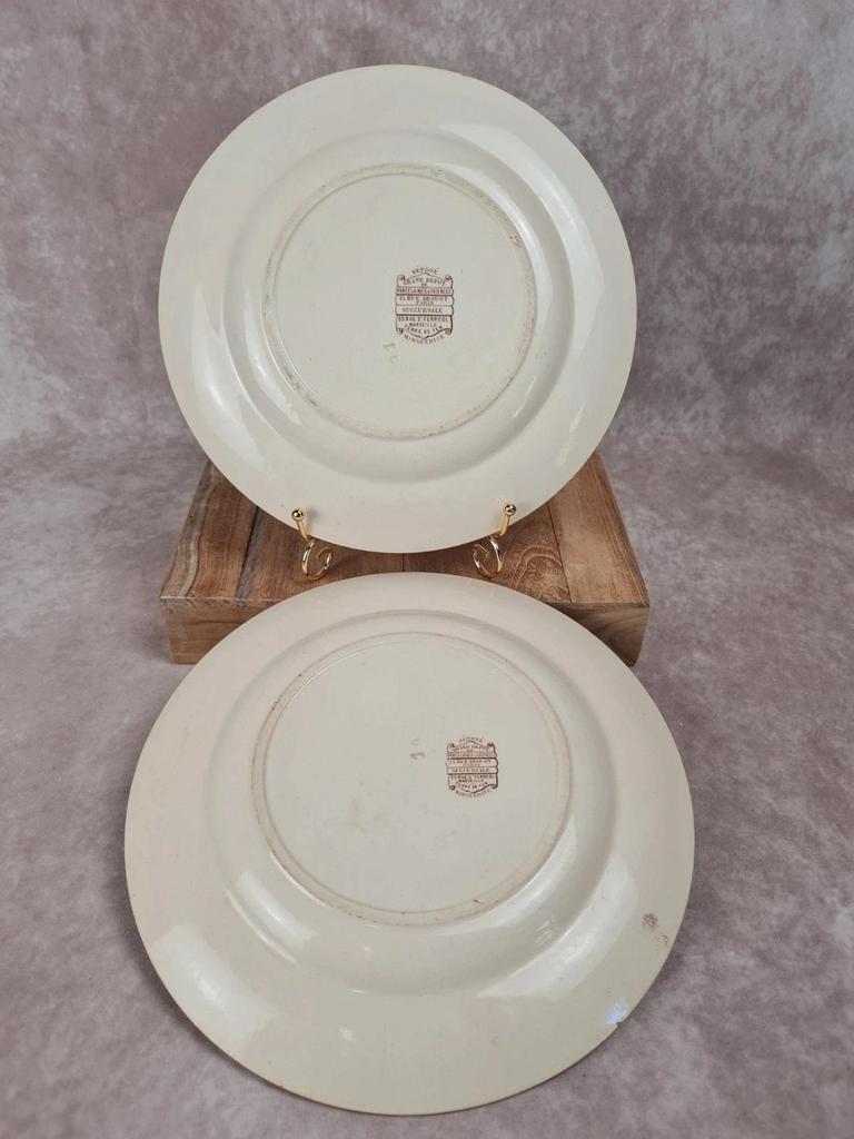 Lot de 2 assiettes anciennes Terre de Fer, modèle marguerite, Grand Dépôt Paris