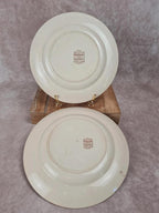 Lot de 2 assiettes anciennes Terre de Fer, modèle marguerite, Grand Dépôt Paris