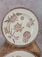 Lot de 2 assiettes anciennes Terre de Fer, modèle marguerite, Grand Dépôt Paris