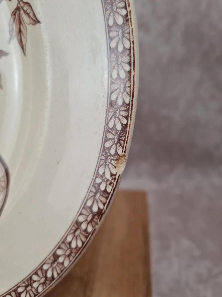 Lot de 2 assiettes anciennes Terre de Fer, modèle marguerite, Grand Dépôt Paris