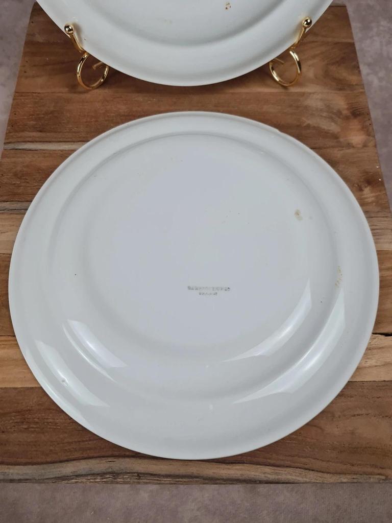 Lot de 2 assiettes plates Sarreguemines décor orange vintage