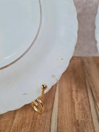 Lot de 2 assiettes vintage Duralex blanches