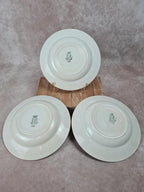 🥣 Lot de 3 assiettes creuses vintage St. Amand France