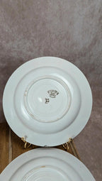 Lot de 4 assiettes creuses Kg Lunéville – Modèle Lucien terre de fer