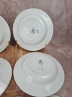 🌼 Lot de 6 assiettes à soupe anciennes Saint - amandinoise – modèle fleuri vintage