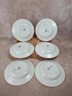 🌼 Lot de 6 assiettes à soupe anciennes Saint - amandinoise – modèle fleuri vintage