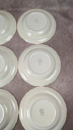 Lot de 6 assiettes creuses Villeroy & Boch – modèle Phoenix