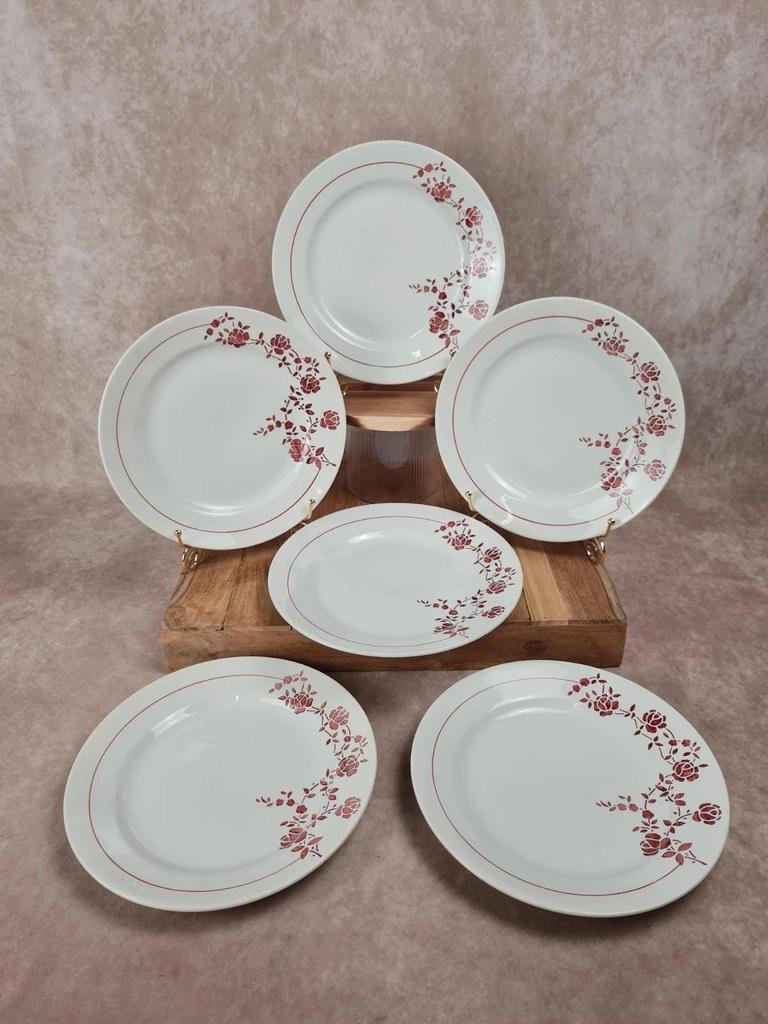 Lot de 6 assiettes plates anciennes Saint - amand modèle Marcel 🌹