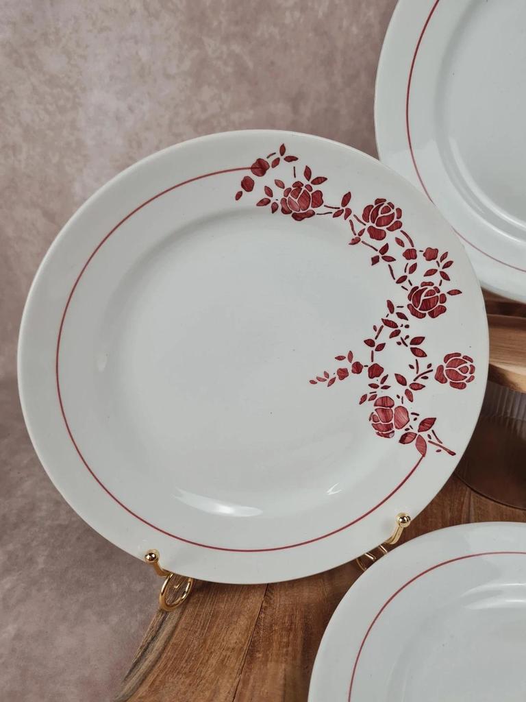 Lot de 6 assiettes plates anciennes Saint - amand modèle Marcel 🌹