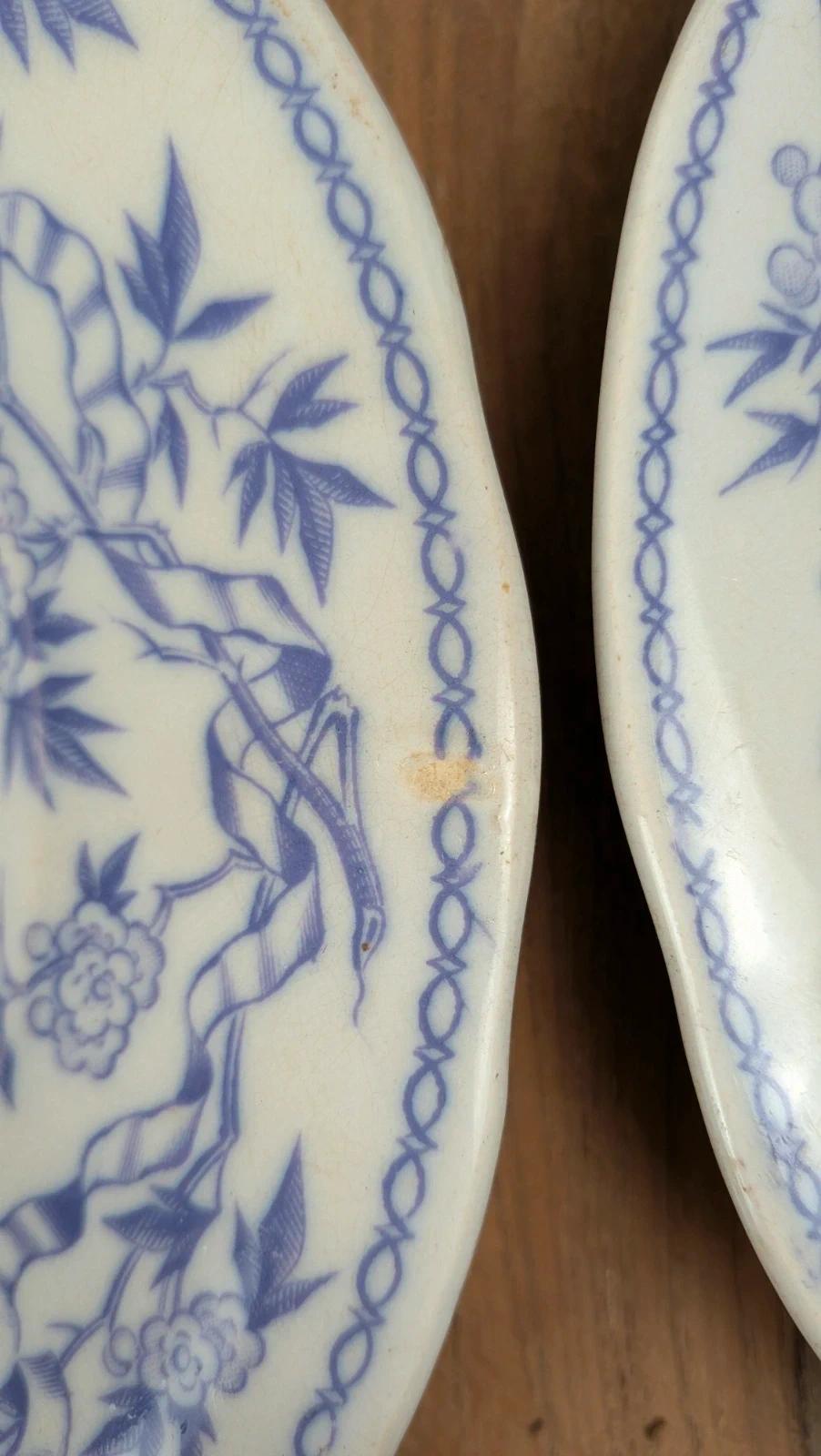 Lot de 6 assiettes plates Sarreguemines – modèle Épine