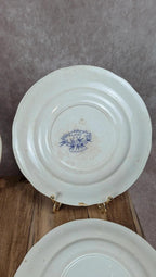 Lot de 6 assiettes plates Sarreguemines – modèle Épine