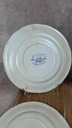 Lot de 6 assiettes plates Sarreguemines – modèle Épine