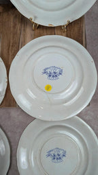 Lot de 6 assiettes plates Sarreguemines – modèle Épine