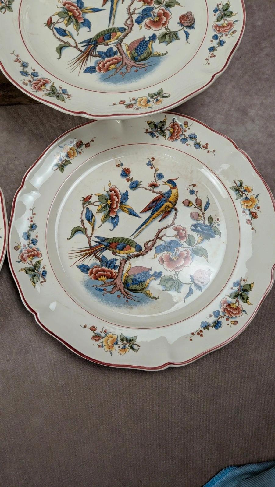 Lot de 6 assiettes plates Villeroy & Boch « Phoenix »