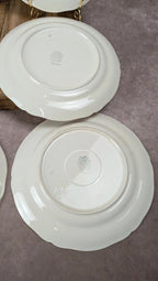 Lot de 6 assiettes plates Villeroy & Boch « Phoenix »