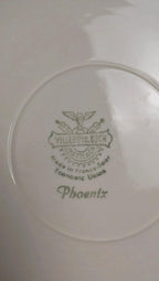 Lot de 6 assiettes plates Villeroy & Boch « Phoenix »