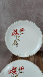 Lot de 6 assiettes Salins modèle Thulin – décor floral ancien