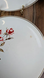 Lot de 6 assiettes Salins modèle Thulin – décor floral ancien