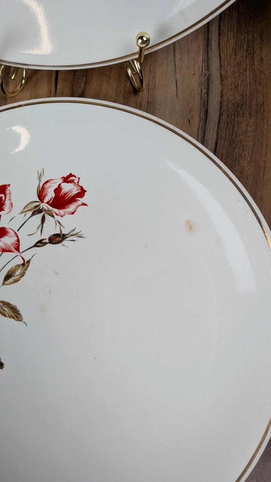 Lot de 6 assiettes Salins modèle Thulin – décor floral ancien
