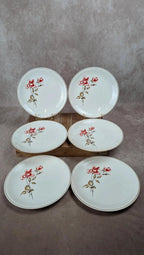 Lot de 6 assiettes Salins modèle Thulin – décor floral ancien