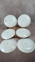 Lot de 6 assiettes Salins modèle Thulin – décor floral ancien