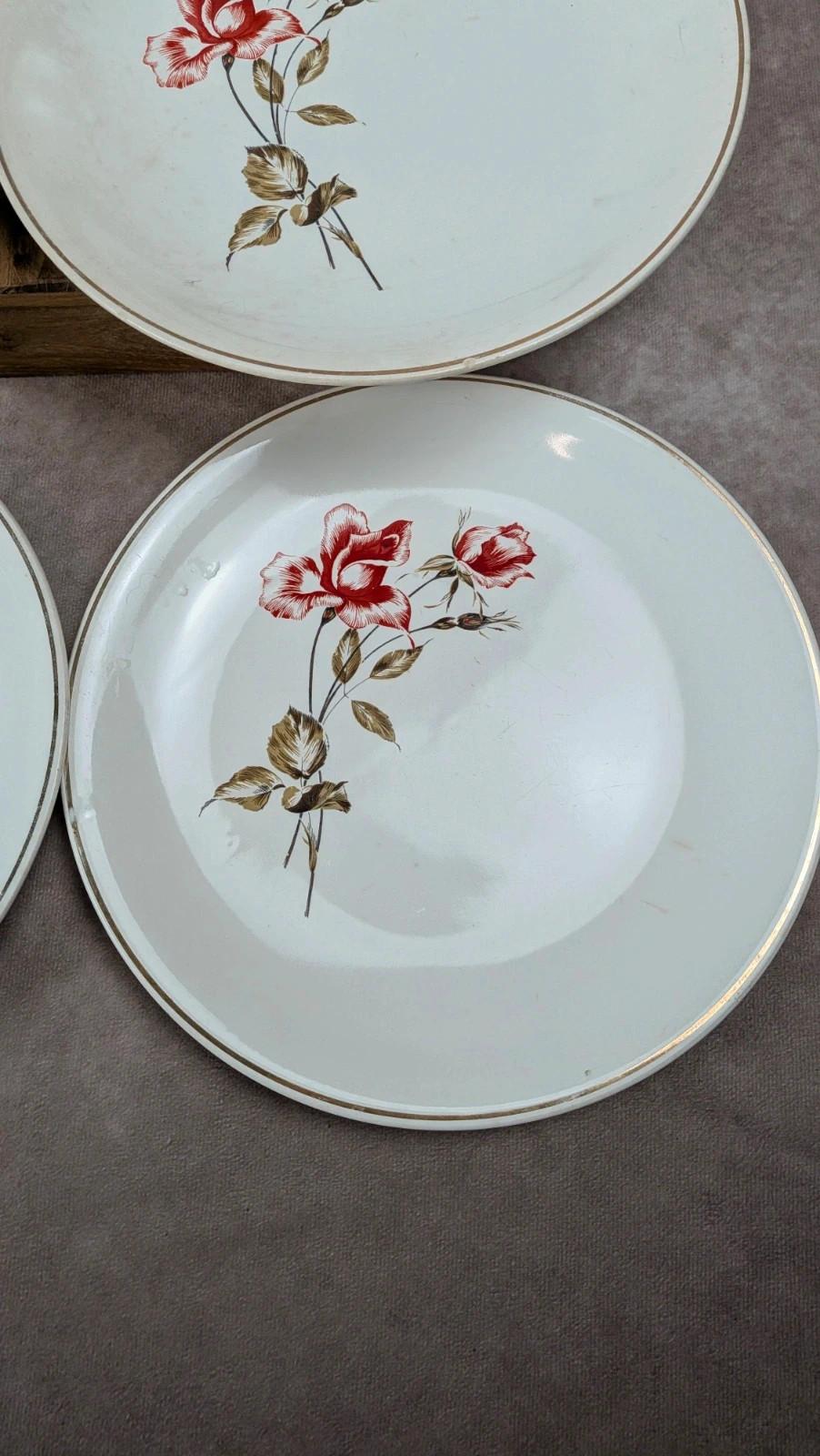 Lot de 6 assiettes Salins modèle Thulin – décor floral ancien