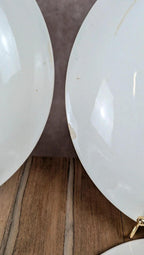 Lot de 6 assiettes Salins modèle Thulin – décor floral ancien