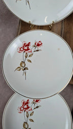 Lot de 6 assiettes Salins modèle Thulin – décor floral ancien
