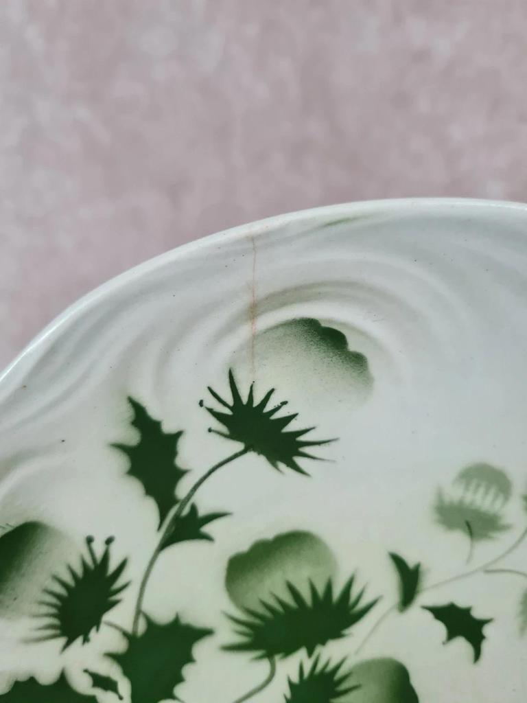 Lot de 8 assiettes plates anciennes Badonviller, Modèle Chardon 🌿💚