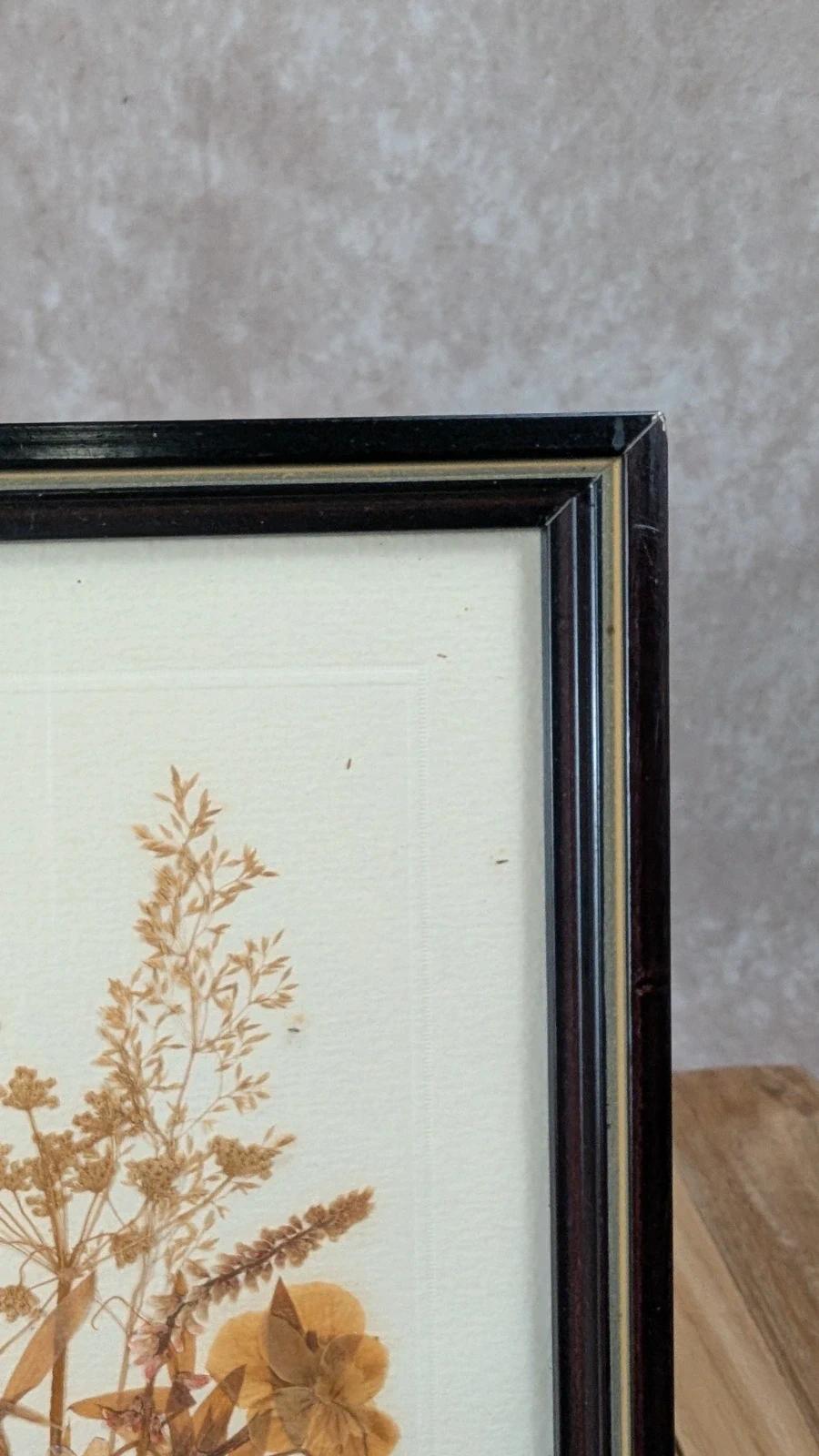 Petit cadre herbier ancien – fleurs séchées naturelles