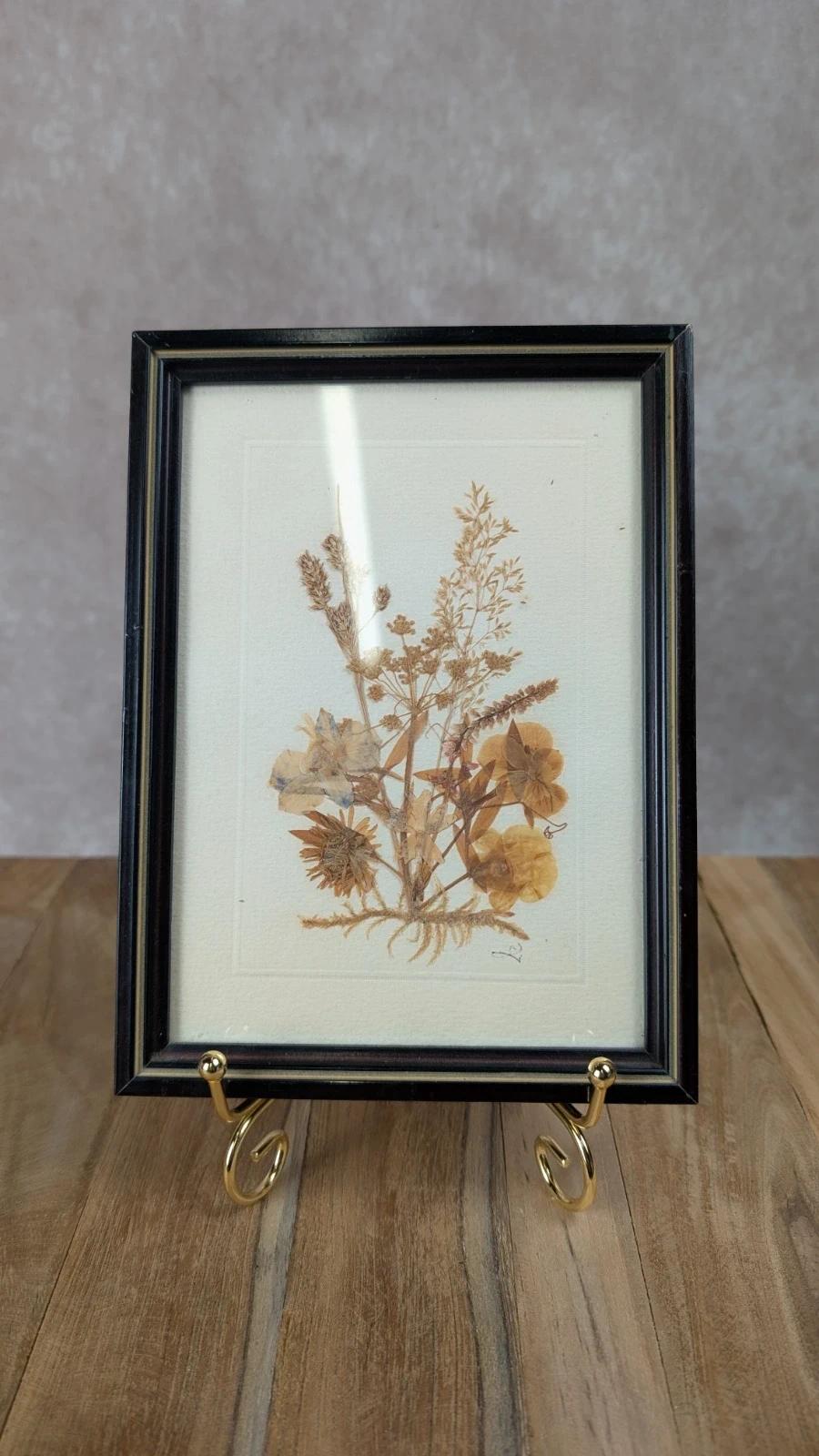 Petit cadre herbier ancien – fleurs séchées naturelles